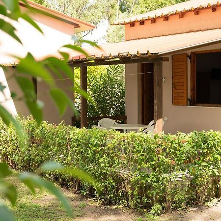 Camping Pefki Hotel Kültér fotó